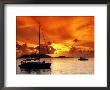 Moored Yachts At Sunset, Tortola, Virgin Islands by John Elk Iii Limited Edition Print