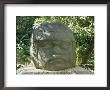 Olmec Stone Head At Parque-Museo La Venta, Villahermosa, Tabasco, Mexico, North America by Richard Nebesky Limited Edition Print