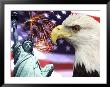 Eagle, Fireworks, Statue Of Liberty by Bill Bachmann Limited Edition Print