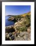 Coastline, Acadia National Park, Maine, New England, Usa by Roy Rainford Limited Edition Print