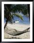 Sandy Bay, Bahamas, West Indies, Central America by Charles Bowman Limited Edition Print