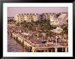 Crowds Viewing Sunset, Key West, Florida, Usa by Ken Gillham Limited Edition Print