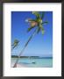 Punta Cana, Dominican Republic, West Indies, Central America by J Lightfoot Limited Edition Print