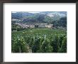Beaujolais Vineyards, Beaujeau Village, Rhone Valley, France by David Hughes Limited Edition Print