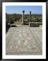 Mosaics From The 3Rd Century, Volubilis, Unesco World Heritage Site, Morocco, North Africa, Africa by Tony Gervis Limited Edition Print