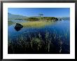 Lochain Na H'achlaise, Rannoch Moor, Western Highlands, Highland Region, Scotland by Lee Frost Limited Edition Print