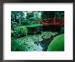 Bridge And Pond Of Japanese Style Garden, Kildare, Ireland by Tony Wheeler Limited Edition Pricing Art Print