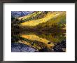 Aspen Forest Reflected In Maroon Lake, White River National Forest, Colorado, Usa by Greg Gawlowski Limited Edition Print