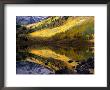 Aspen Forest Reflected In Maroon Lake, White River National Forest, Colorado, Usa by Greg Gawlowski Limited Edition Print