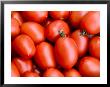 Plum Tomatoes by Mark Bolton Limited Edition Print