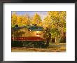 Napa Valley Wine Train Rolls Through Rutherford, California, Usa by John Alves Limited Edition Pricing Art Print