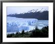 Santa Cruz Perito Moreno Glacier On Lake Argentina, Patagonia, Argentina by Lin Alder Limited Edition Print