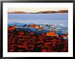 White Saltpan And Red Dunes, Lake Gairdner, Australia by Diana Mayfield Limited Edition Print