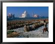Melon Farm On Yamunas Banks With Taj Mahal In Background, Agra, Uttar Pradesh, India by Anders Blomqvist Limited Edition Pricing Art Print