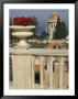 Bahai Gardens And Shrine, With Temple In The Background, Haifa, Israel, Middle East by Eitan Simanor Limited Edition Print