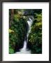 Hikers On Bridge Over Sol Duc Falls, Olympic National Park, Usa by John Elk Iii Limited Edition Print