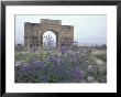 Ruins Of Triumphal Arch In Ancient Roman City, Morocco by John & Lisa Merrill Limited Edition Print