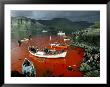 Whaling, Faroe Islands (Faeroes), North Atlantic by Adam Woolfitt Limited Edition Print