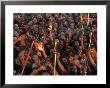 Naga Sadhus At Maha Kumbh Mela Festival, Allahabad, India by Anders Blomqvist Limited Edition Print