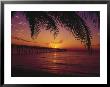 Dania Fishing Pier, Florida, Sunrise by Warren Flagler Limited Edition Pricing Art Print