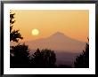 Sunrise Over Mt Hood, Portland, Oregon, Usa by Janis Miglavs Limited Edition Pricing Art Print