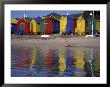 Colorful Bathing Huts, Cape Town, South Africa by Michele Westmorland Limited Edition Print