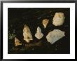 Arrowheads Near The Pre-Clovis Topper Archeological Site by Kenneth Garrett Limited Edition Pricing Art Print