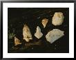 Arrowheads Near The Pre-Clovis Topper Archeological Site by Kenneth Garrett Limited Edition Print