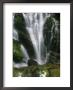 Small Waterfall Near The Milford Track On New Zealands South Island by Mark Cosslett Limited Edition Pricing Art Print