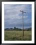 A Power Line Runs Through A Field by Taylor S. Kennedy Limited Edition Print