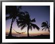 Twilight View Of Beach With Hammock And Palms, Costa Rica by Michael Melford Limited Edition Print