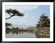 Pine Tree, Matsumoto Castle, Matsumoto City, Nagano Prefecture, Honshu Island, Japan by Christian Kober Limited Edition Print