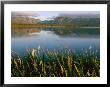 Grasses Grow Along The Edge Of A Lake by Michael S. Lewis Limited Edition Print