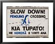 Sign Warning Drivers About Penguins In The Road, Wellington, North Island, New Zealand by Don Smith Limited Edition Print