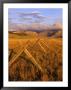 Fence Line Rocky Mountain Front Near Choteau, Montana, Usa by Chuck Haney Limited Edition Print