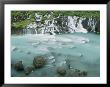 In Search Of Wild Salmon, This Fisherman Casts Into A Healthy Stream by Paul Nicklen Limited Edition Pricing Art Print