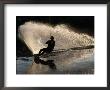 Wake-Boarder On Lake Nacimiento by Rich Reid Limited Edition Pricing Art Print