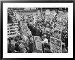 Civil Rights March On Washington, D.C. With Martin Luther King Jr. by Warren K. Leffler Limited Edition Print