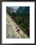 Rock Climber On Nutcracker, A Climb Rated 5.8 In Yosemite Valley by Bobby Model Limited Edition Pricing Art Print