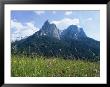 May Flowers And Mount Sciliar (Sclern), Dolomites, Trentino-Alto Adige (South Tirol), Italy by Richard Ashworth Limited Edition Pricing Art Print