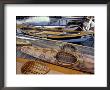 Kayaks And Rowboats At The Center For Wooden Boats, Seattle, Washington, Usa by William Sutton Limited Edition Print