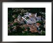 Palacio Nacional From Castelo Dos Mouros, Sintra, Portugal by Anders Blomqvist Limited Edition Print