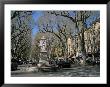 Cours Mirabeau, Aix-En-Provence, Bouches Du Rhone, Provence, France by Roy Rainford Limited Edition Print