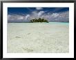 Sharks, Blue Lagoon, Rangiroa, Tuamotu Archipelago, French Polynesia Islands by Sergio Pitamitz Limited Edition Print