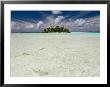 Sharks, Blue Lagoon, Rangiroa, Tuamotu Archipelago, French Polynesia Islands by Sergio Pitamitz Limited Edition Print