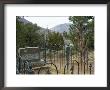 Doc Holliday's Grave, Glenwood Springs, Colorado, Usa by Ethel Davies Limited Edition Print