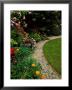 Close-Up Of Colourful Planting Of Annuals And Half Hardy Exotics, Alongside Gravel Path by Mark Bolton Limited Edition Print