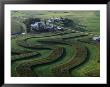 A Farm With Curved And Twisting Fields by Paul Chesley Limited Edition Print
