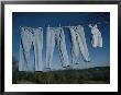 Four Pairs Of Jeans Hanging On A Clothesline by Brian Gordon Green Limited Edition Print