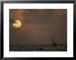 A Cat Boat Takes A Sunset Cruise About The Miskito Cays by Bill Curtsinger Limited Edition Print
